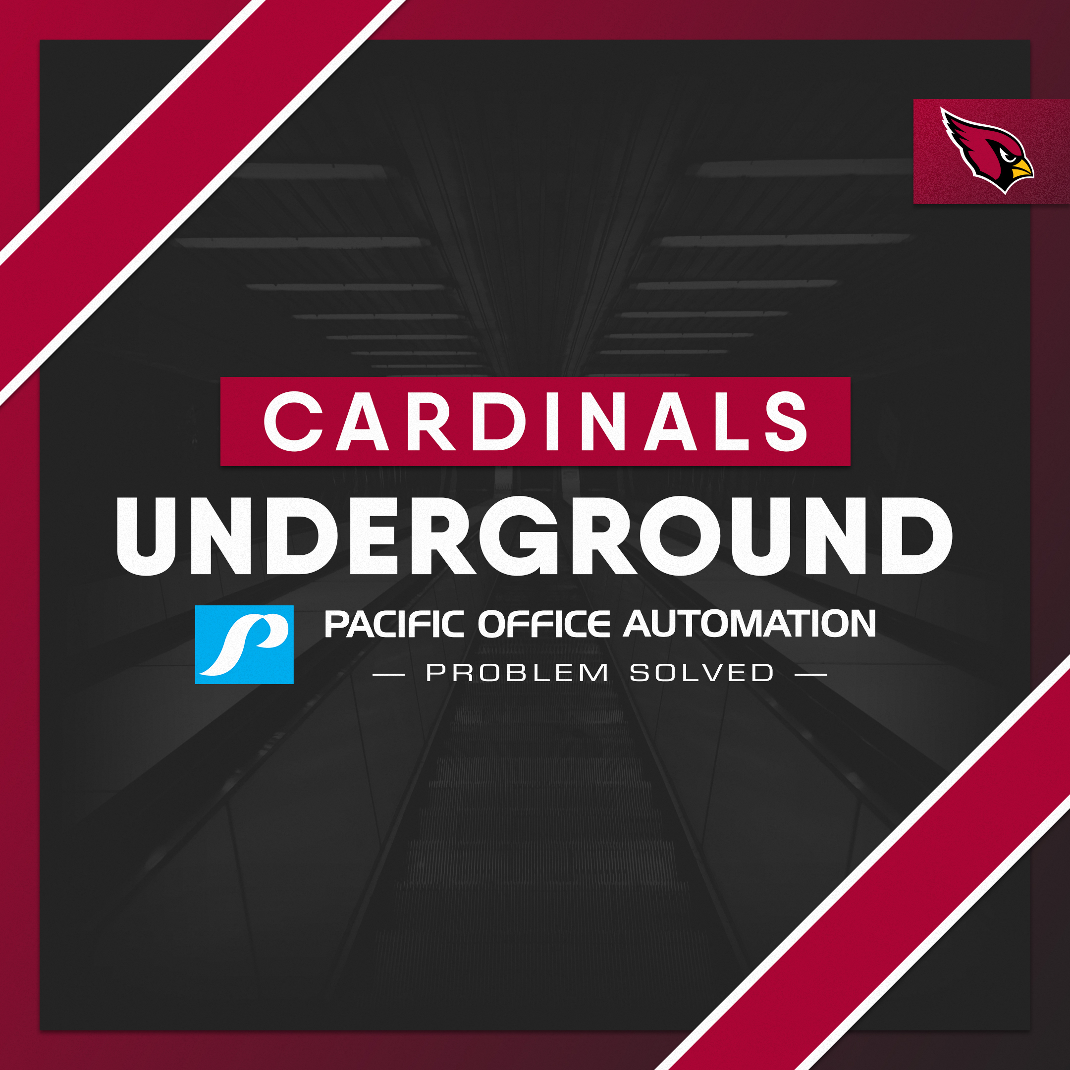 Cardinals Underground - The Search Is Underway