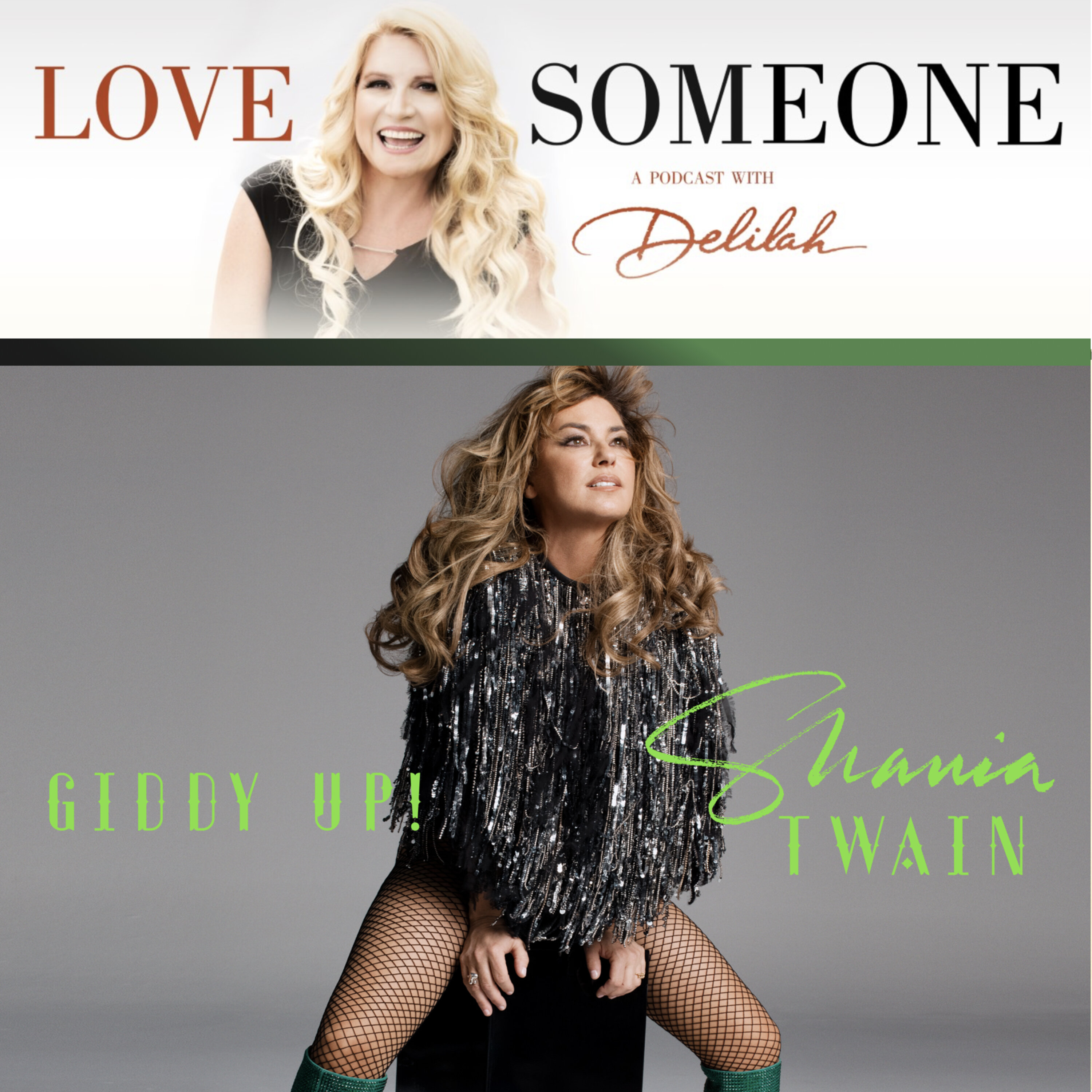 SHANIA TWAIN: Giddy Up!