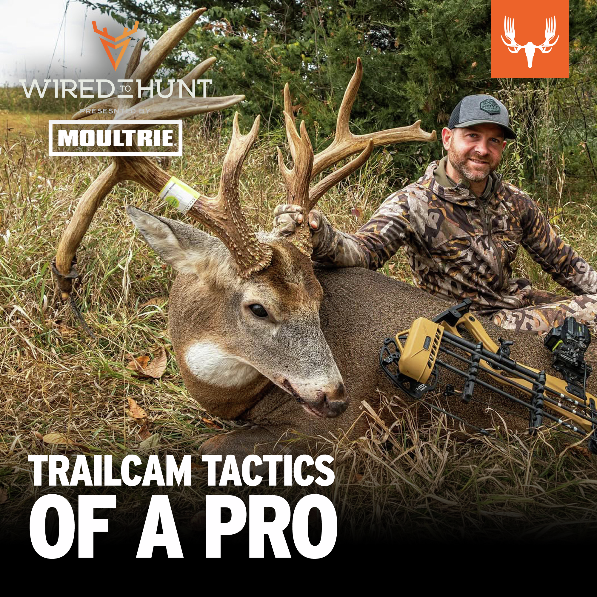 Ep. 1053: The Jared Mills Trail Cam Masterclass episode artwork