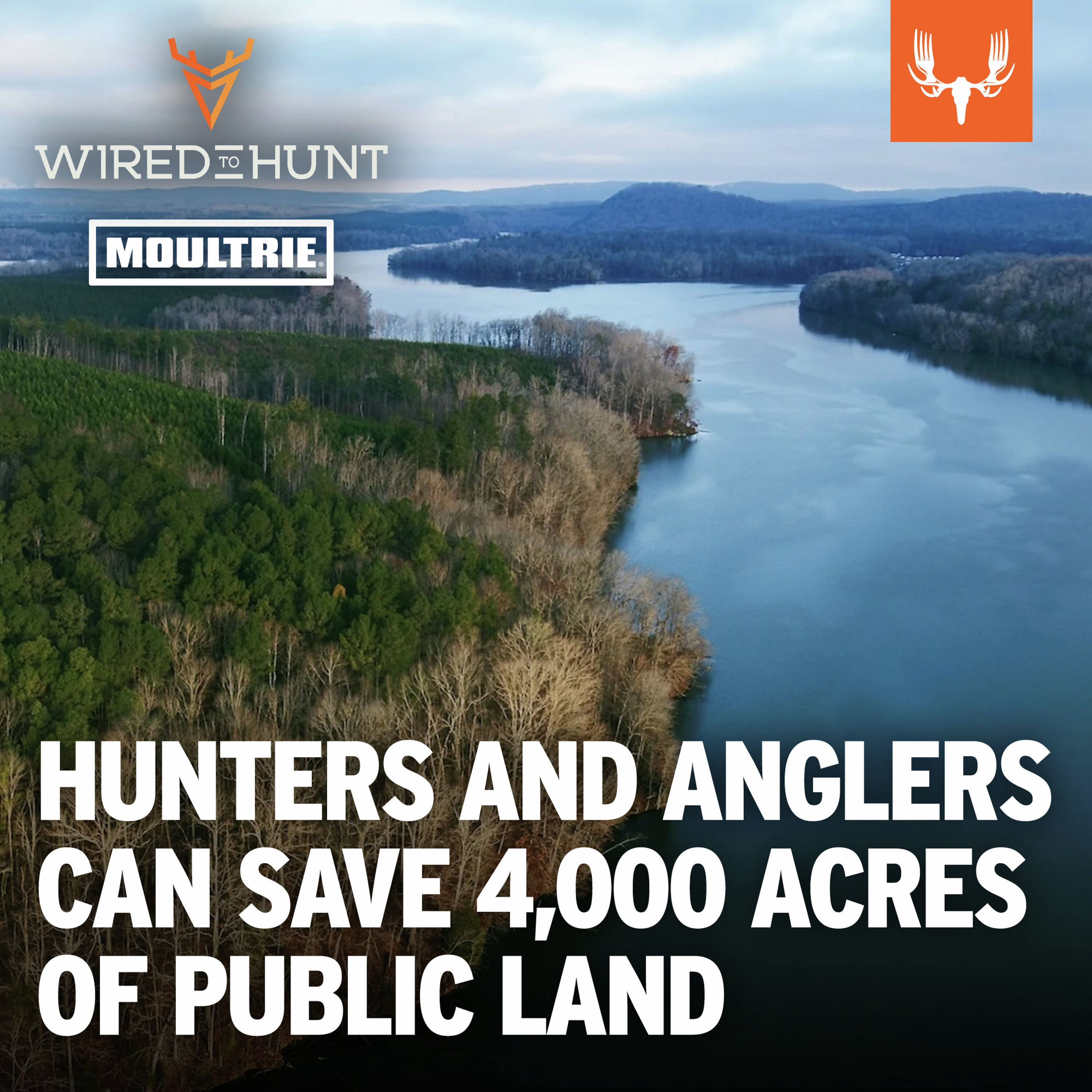 Ep. 1029: How You Can Help Save 4000 Acres of Prime Public Hunting Ground with Travis Morehead episode artwork