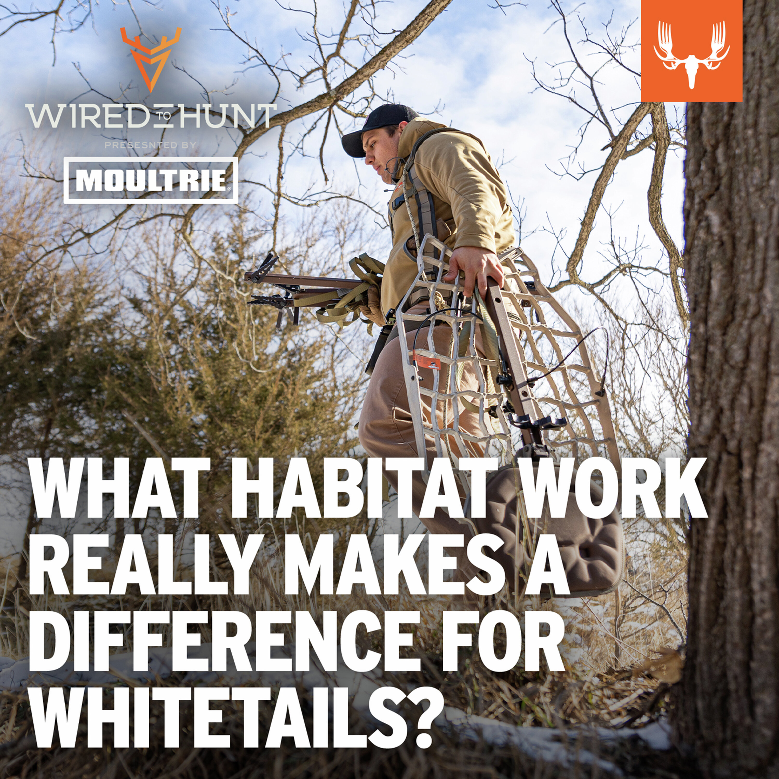 Ep. 1018: What Habitat Work REALLY Makes a Difference for Whitetails? Ep. 1018: What Habitat Work REALLY Makes a Difference for Whitetails?
