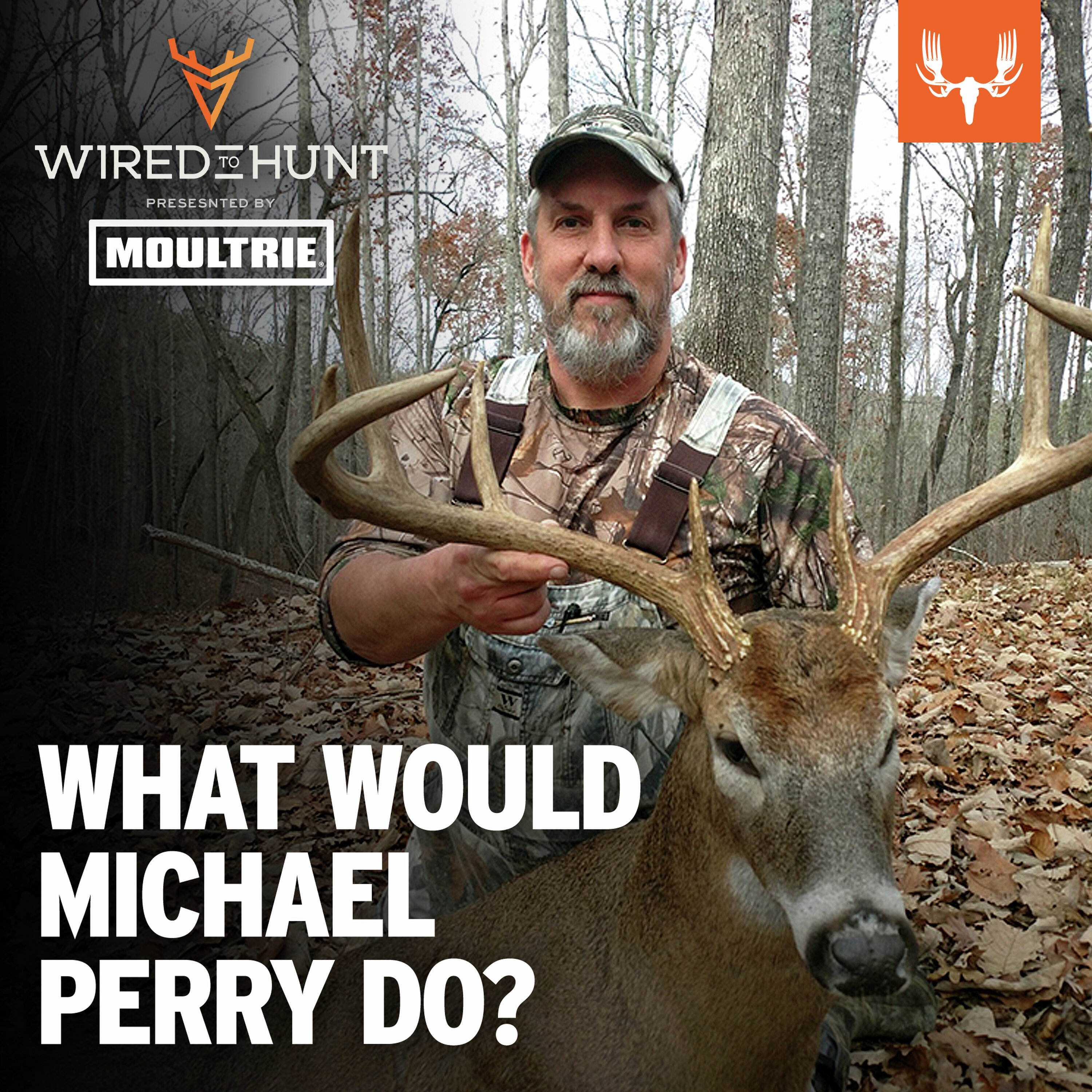 Ep. 1061: What Would Michael Perry Do? episode artwork