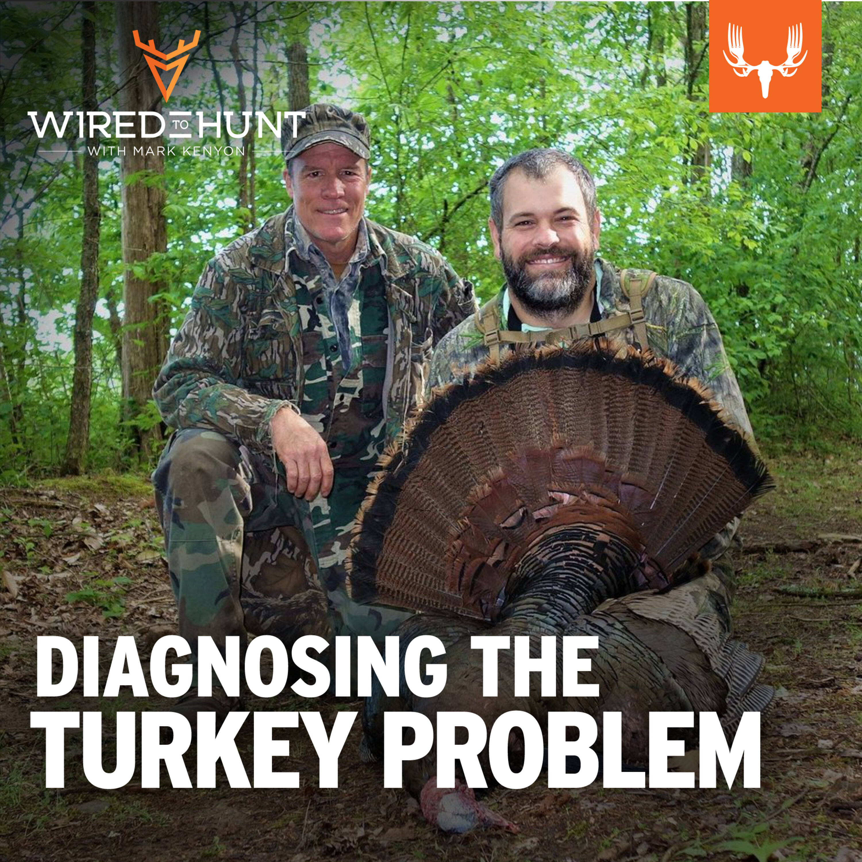 Ep. 762: Diagnosing “The Turkey Problem” with Dr. Marcus Lashley