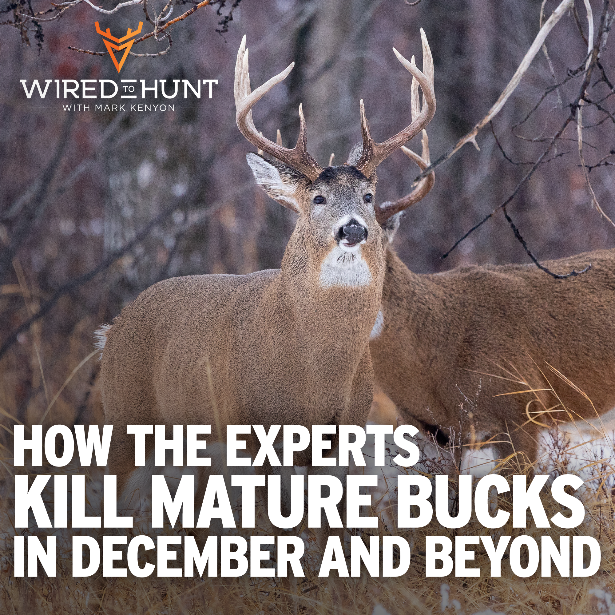 Ep. 981: How the Experts Kill Mature Bucks in December and Beyond