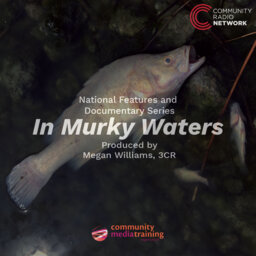 In Murky Waters (3CR)