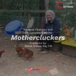 Mother Cluckers (Bay FM)
