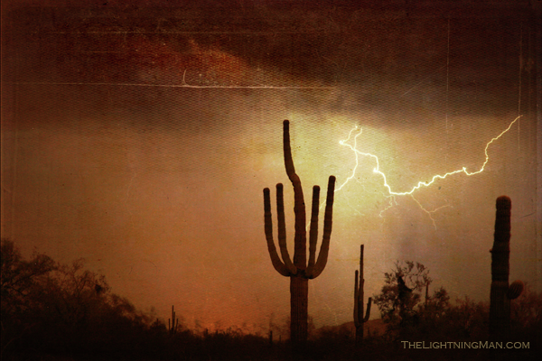 S5E28: 4 Things You Need to Know about Desert Flooding