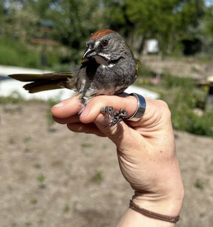 S4E19: Finding Nature's Refuge in Salt Lake Sprawl