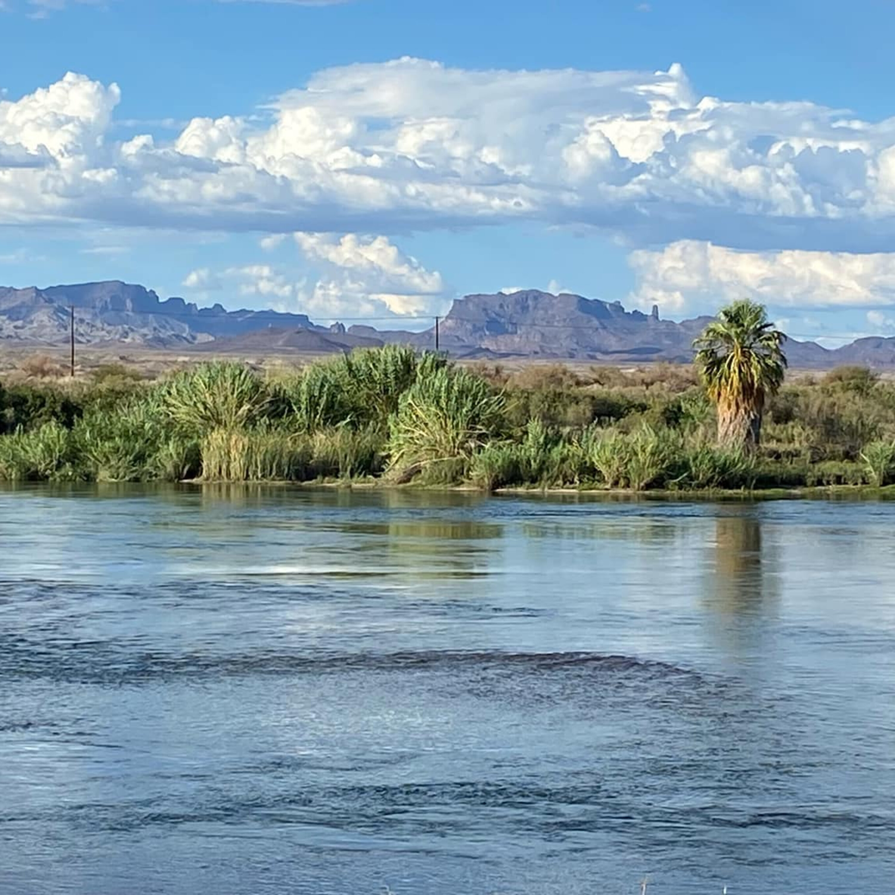 S1E18 Chris is Stressed Out + Some Good News S1E18 Chris is Stressed Out + Some Good News