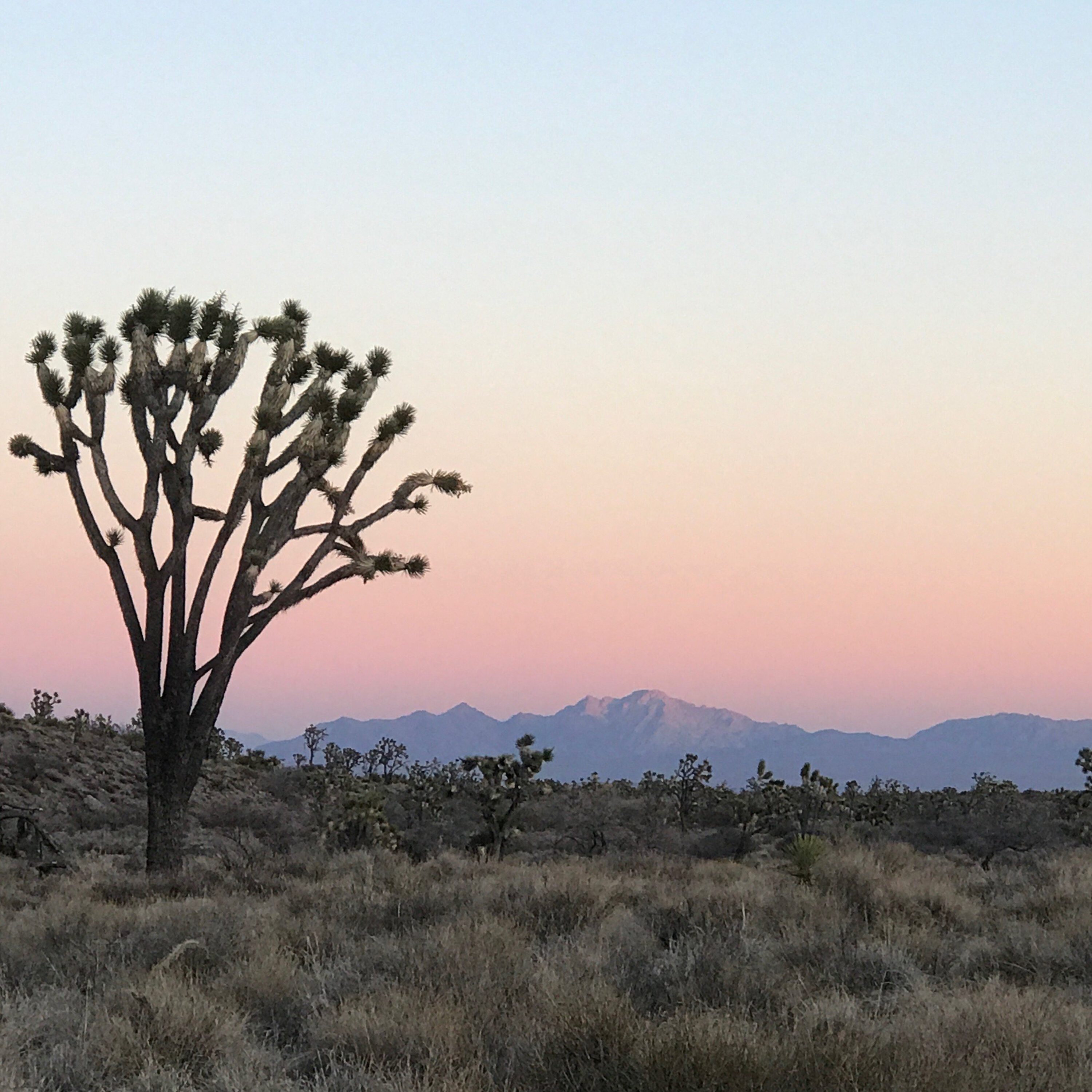 S3E9: How Avi Kwa Ame Transformed My Life S3E9: How Avi Kwa Ame Transformed My Life