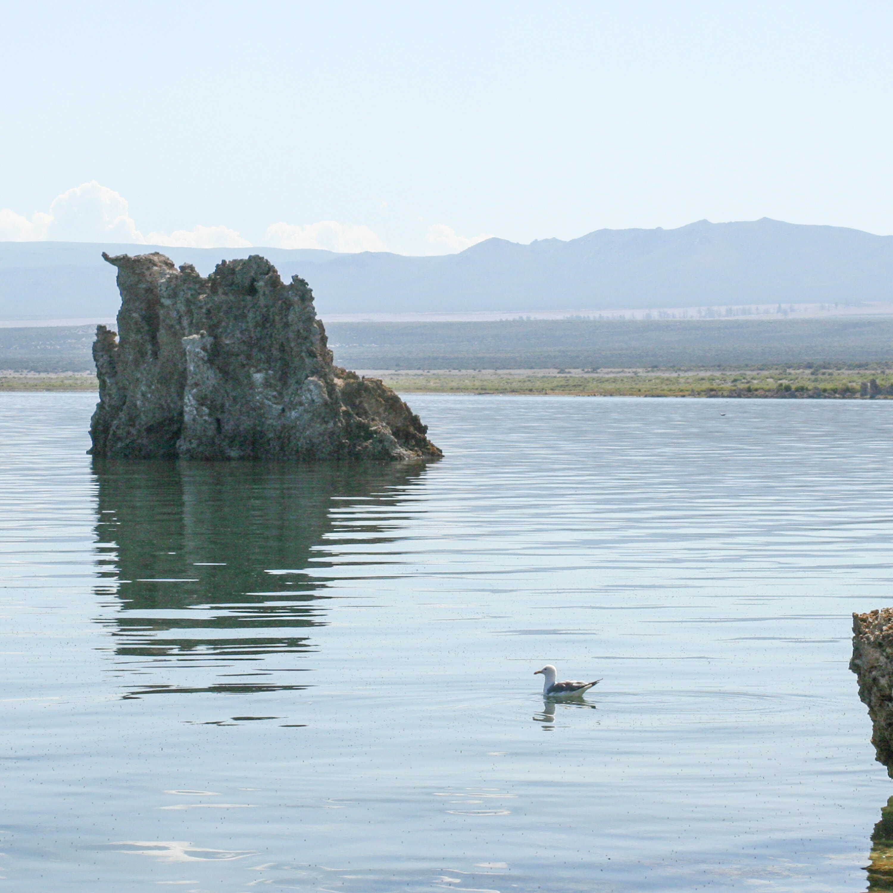 S5E9: Why Salt Lakes Matter More Than Ever S5E9: Why Salt Lakes Matter More Than Ever