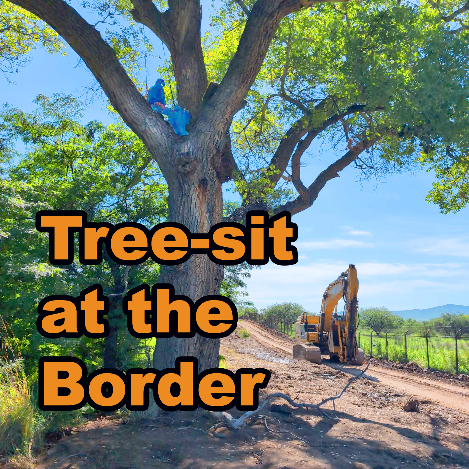 S5E24: Tree Sit at the Border
