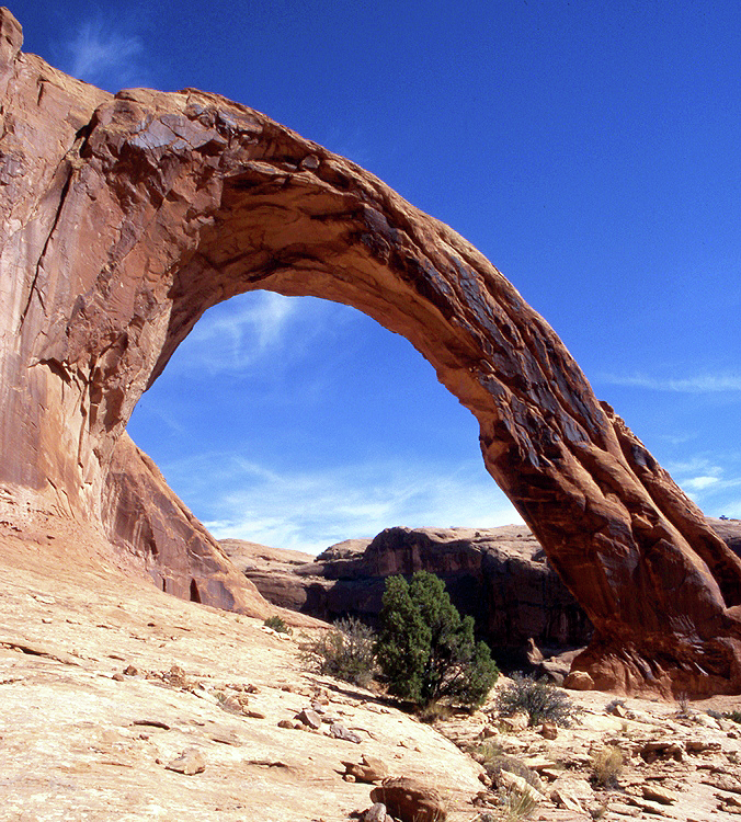 S3E25: Utah's Public Lands Lawsuit Sparks Controversy