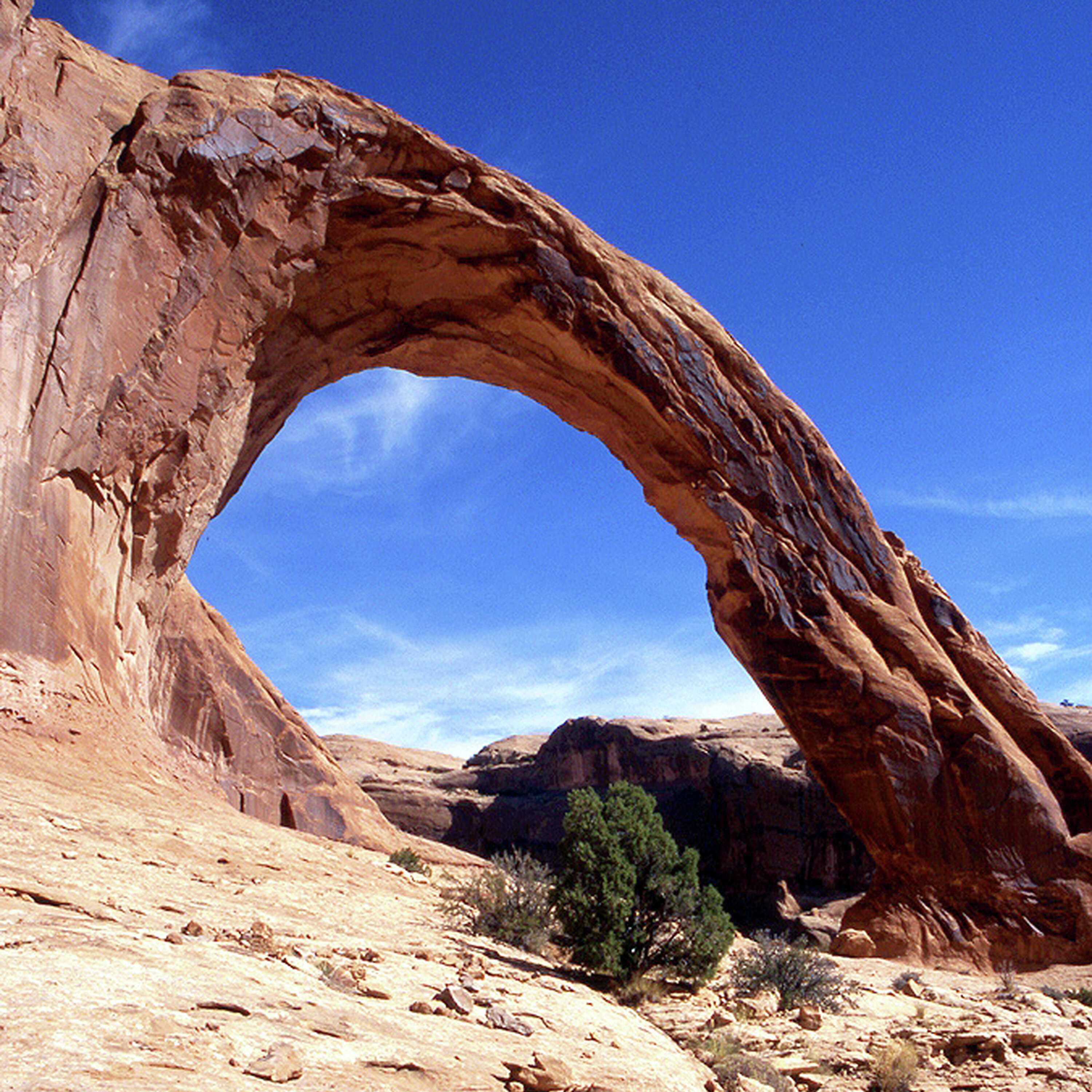 S3E25: Utah's Public Lands Lawsuit Sparks Controversy S3E25: Utah's Public Lands Lawsuit Sparks Controversy