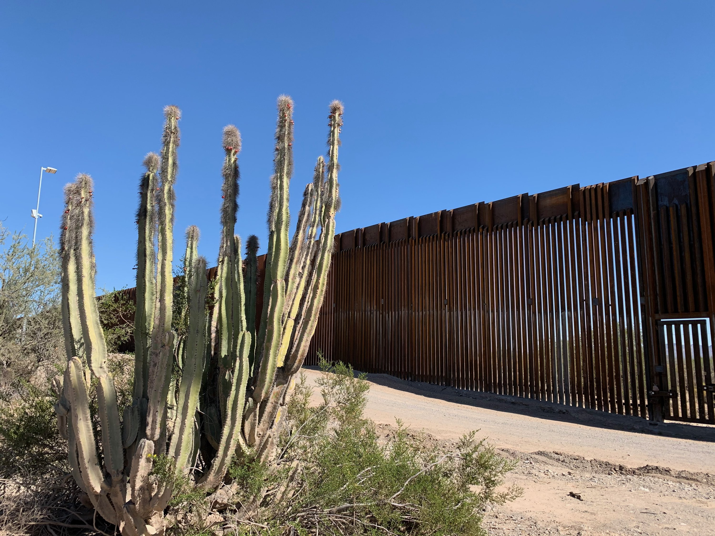 S3E8: Border Wall: A Barrier to Wildlife and Humanity