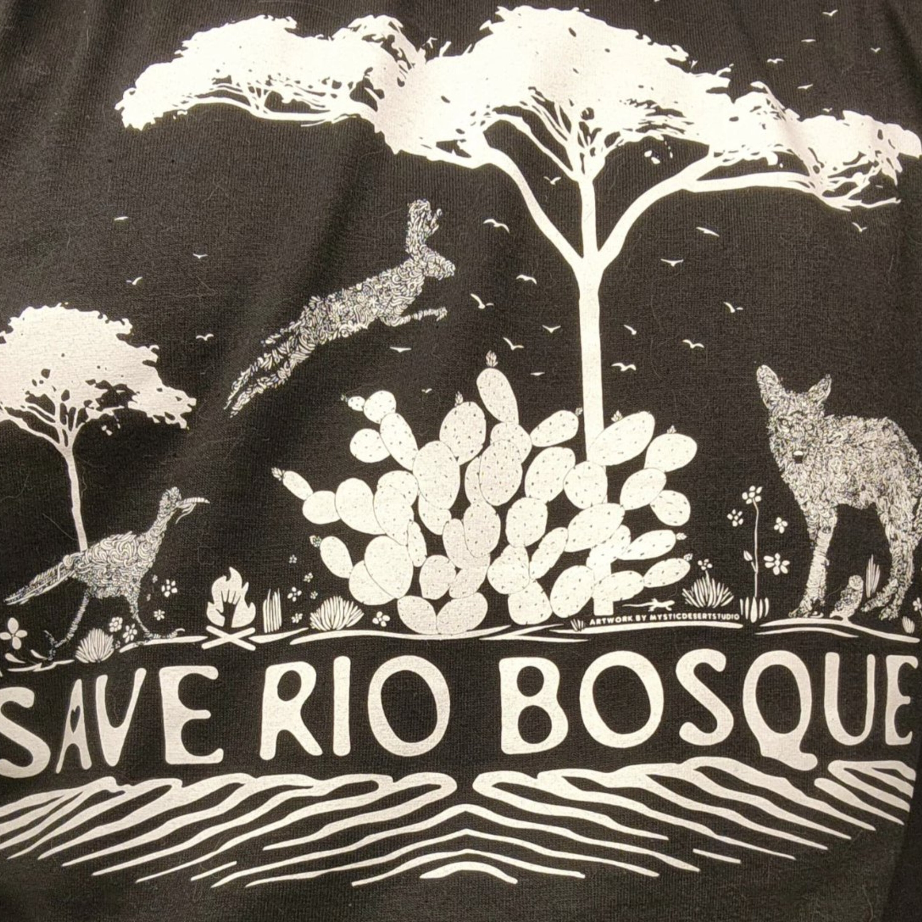 S3E14: Saving El Paso's Rio Bosque Wetlands S3E14: Saving El Paso's Rio Bosque Wetlands