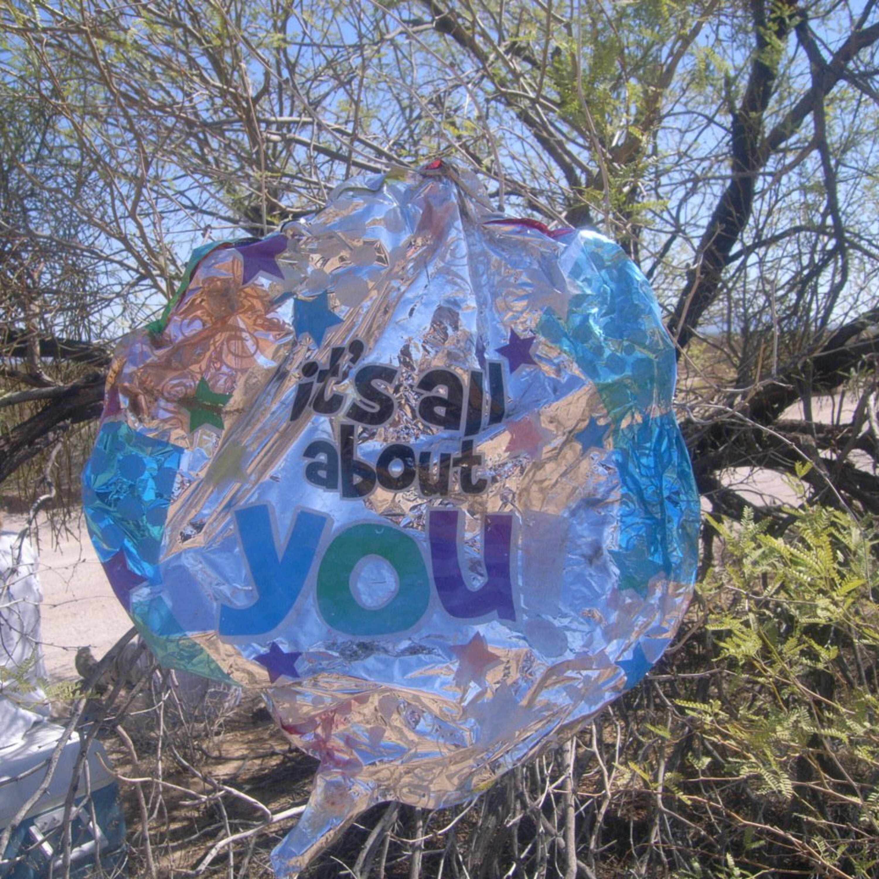 S1E17: Mylar Balloons: threat or menace? plus Joshua Tree NP AMA S1E17: Mylar Balloons: threat or menace? plus Joshua Tree NP AMA