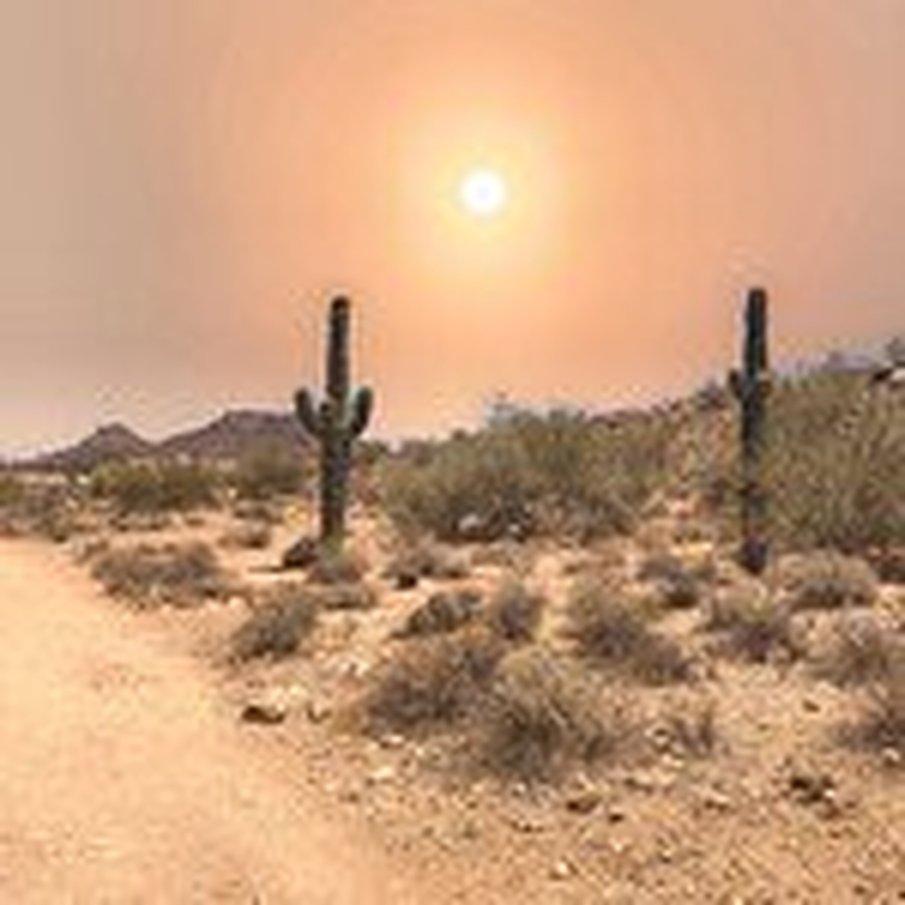 S3E18: Don't Die Today! Staying Safe in Desert Heat S3E18: Don't Die Today! Staying Safe in Desert Heat