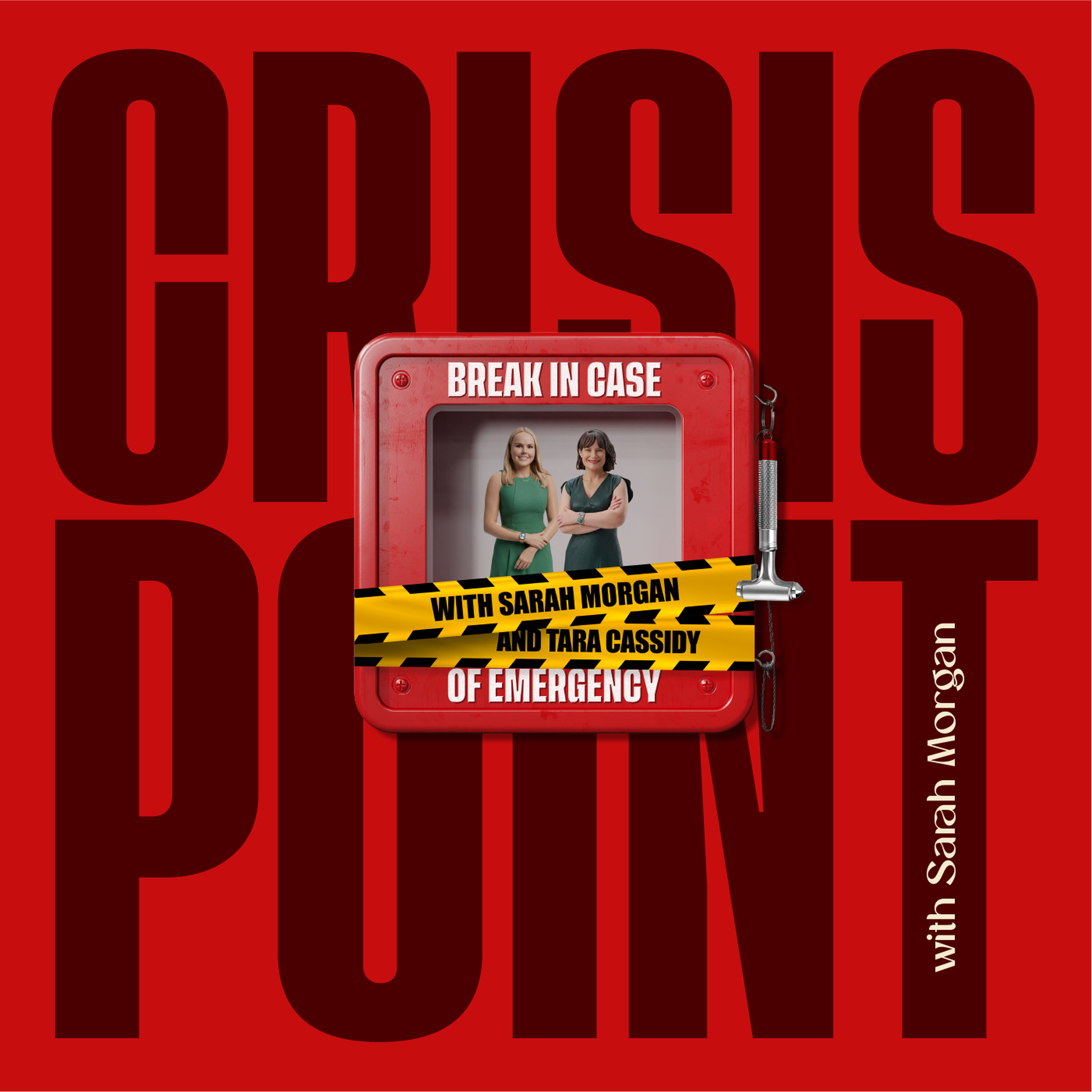 From the other side of the lens: the viewpoint of the journalist covering a crisis episode artwork