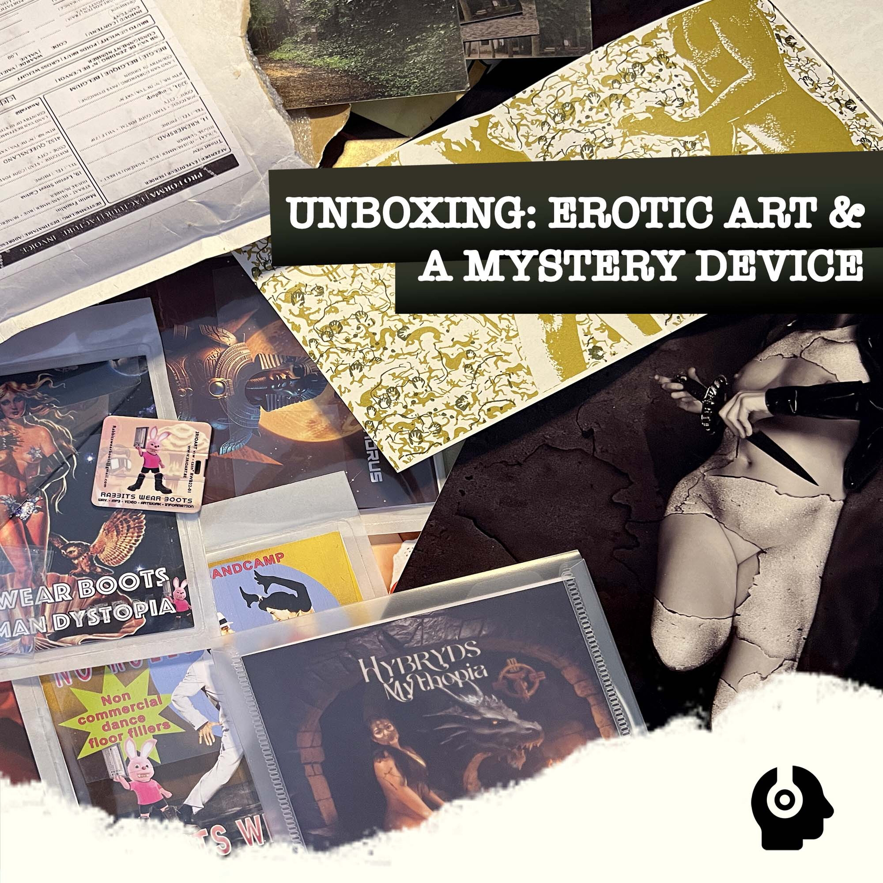 Erotic Art, CDr's and a Mystery Device from Hybryds episode artwork