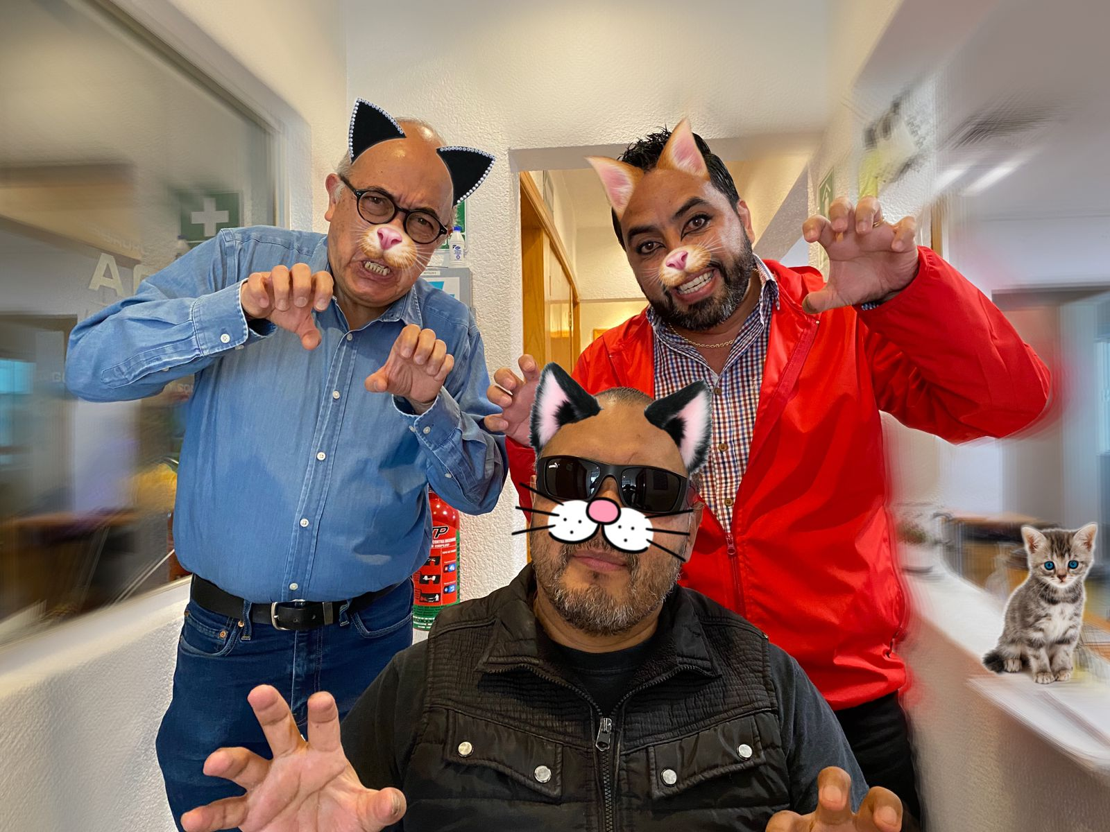 Celebrando el día del Gato en Espacio Deportivo de la Tarde 08 de agosto 2024