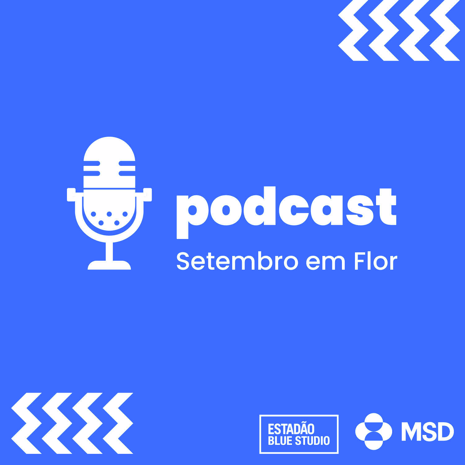 Notícia no seu tempo