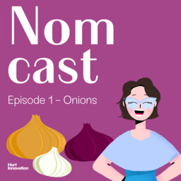 Nomcast Episode 1 - Onions: tears, mayhem and tasty bass notes