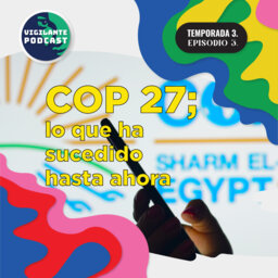 COP 27; lo que ha sucedido hasta ahora.