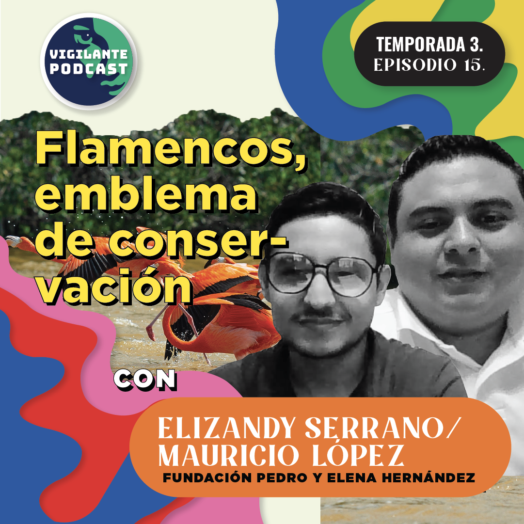 S3E15: Flamencos, emblema de conservación con Elizandy Serrano y Mauricio López - Fund. Pedro y Elena Hernández