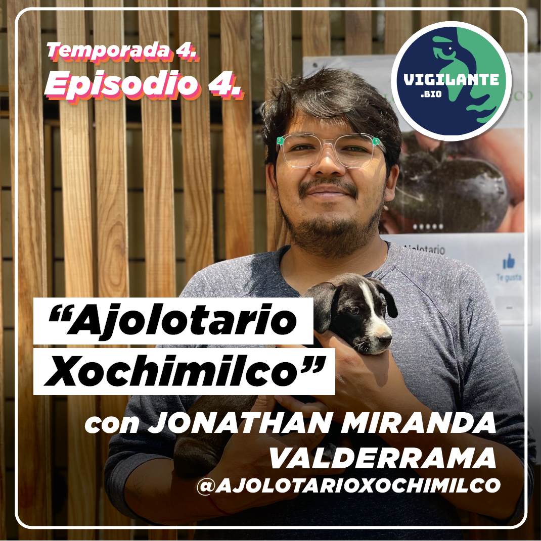 S4E4: El increíble mundo de los ajolotes con PIMVS Ajolotario Xochimilco