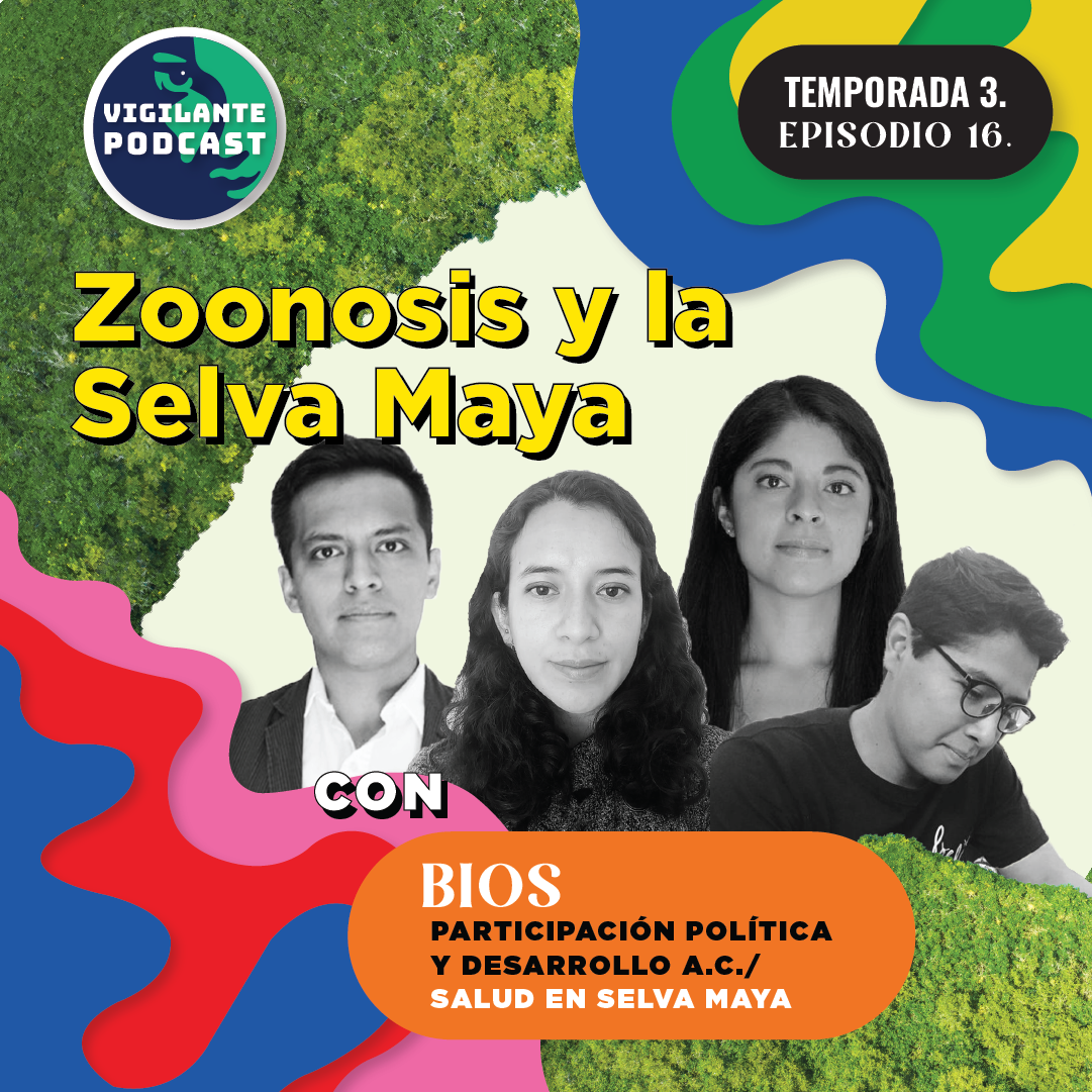 S3E16: Zoonosis y la Selva Maya con BIOS Participación política y desarrollo