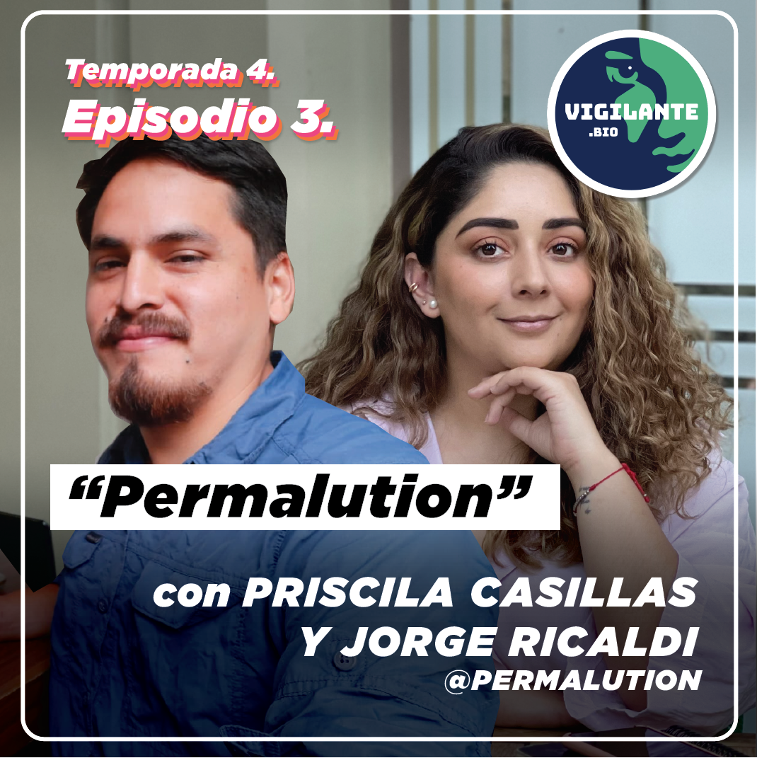 Permalution