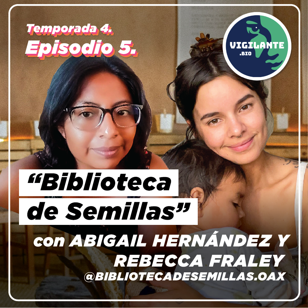 S4E5: Biblioteca de Semillas en la ciudad de Oaxaca