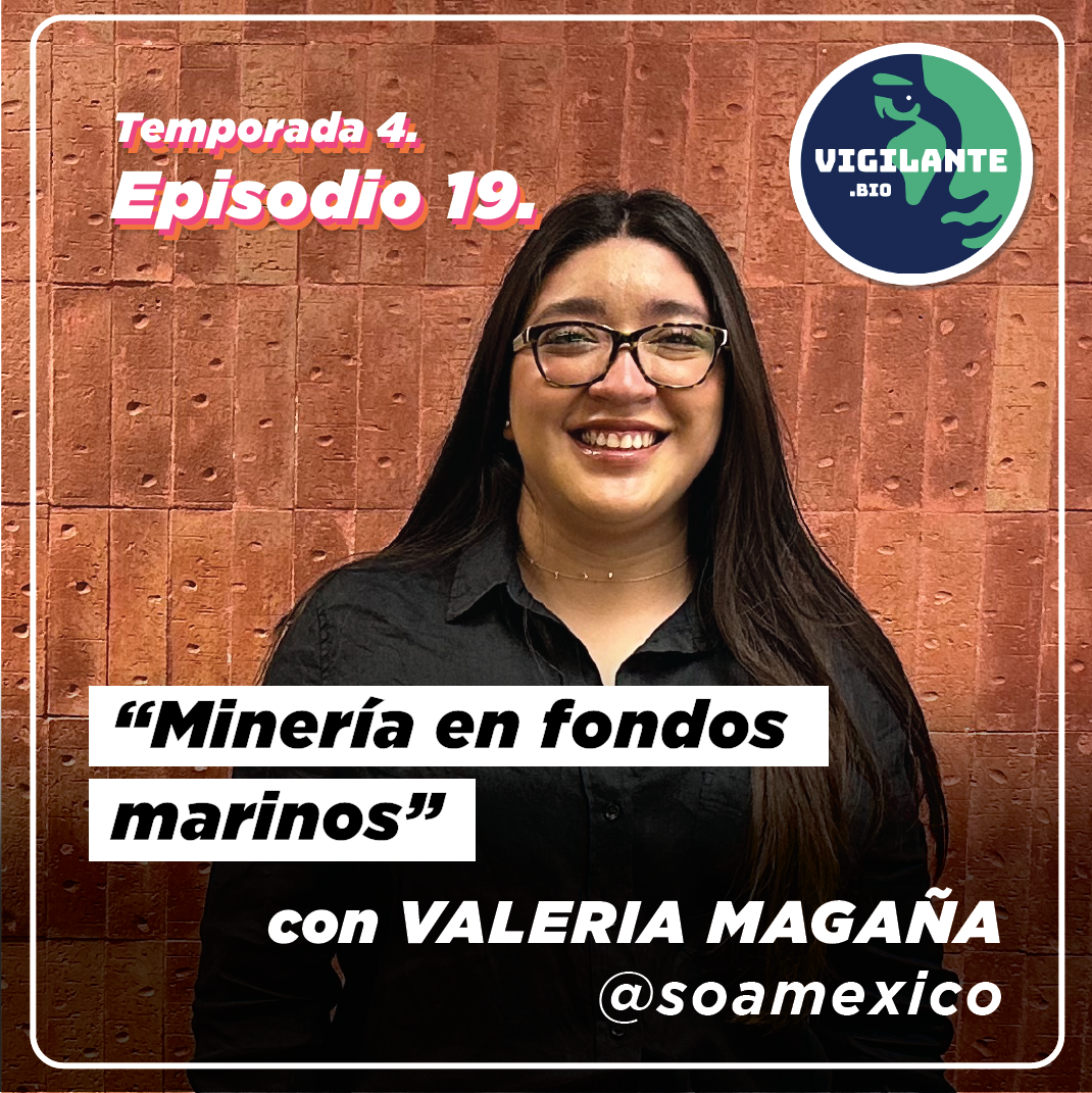 Minería en fondos marinos con Valeria Magaña de SOA