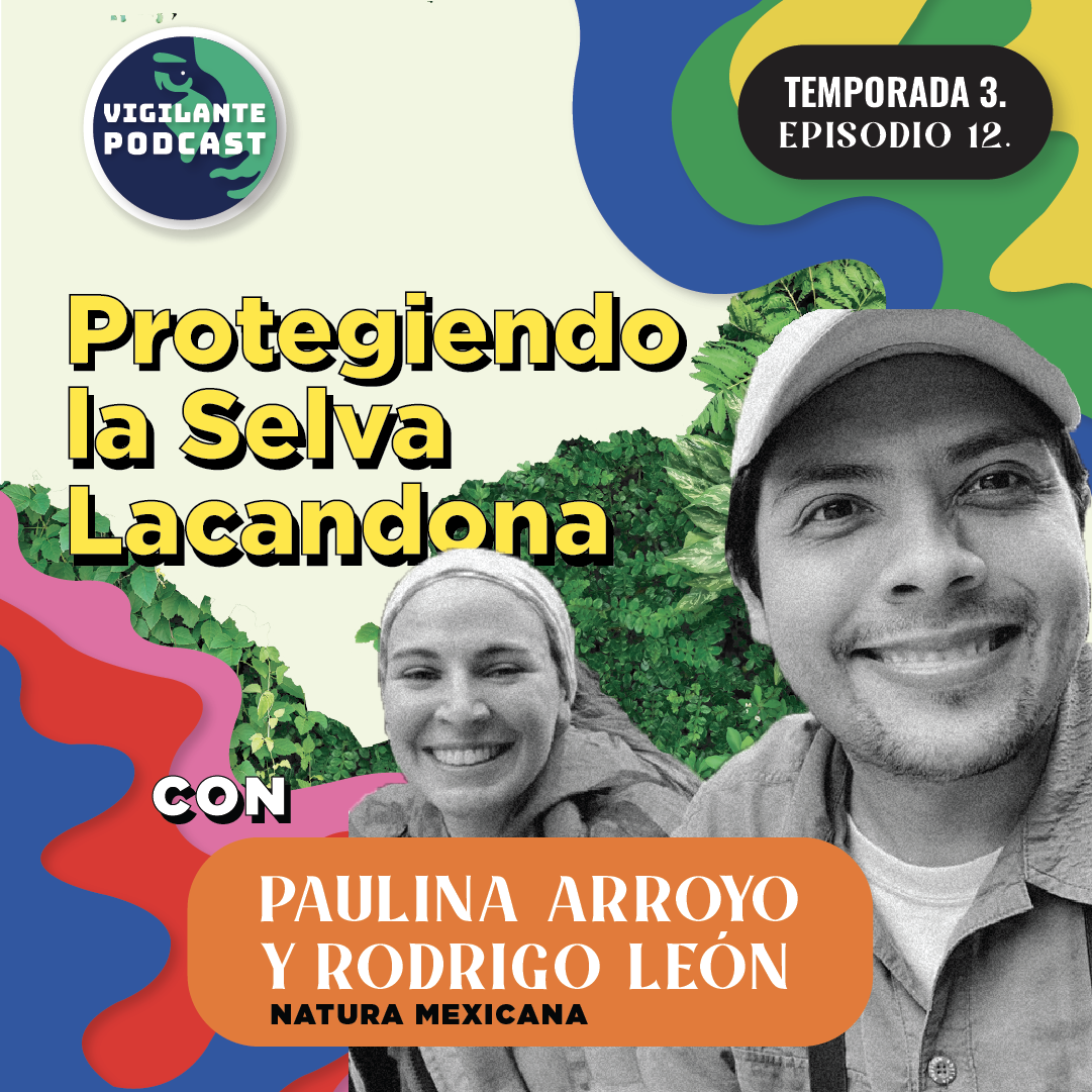 S3E12: Protegiendo la Selva Lacandona - Natura Mexicana