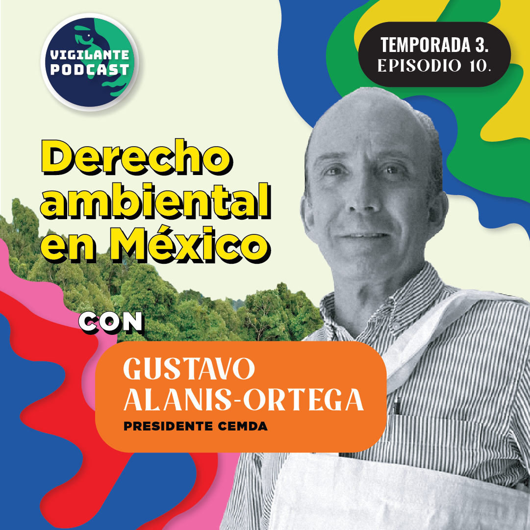 S3E11: Derecho ambiental en México