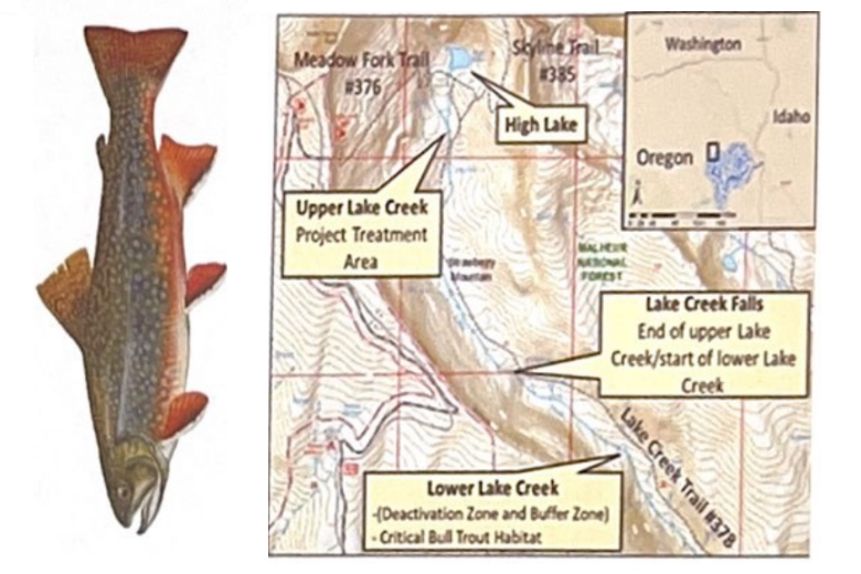 March 15 | High Lake Brook Trout Project