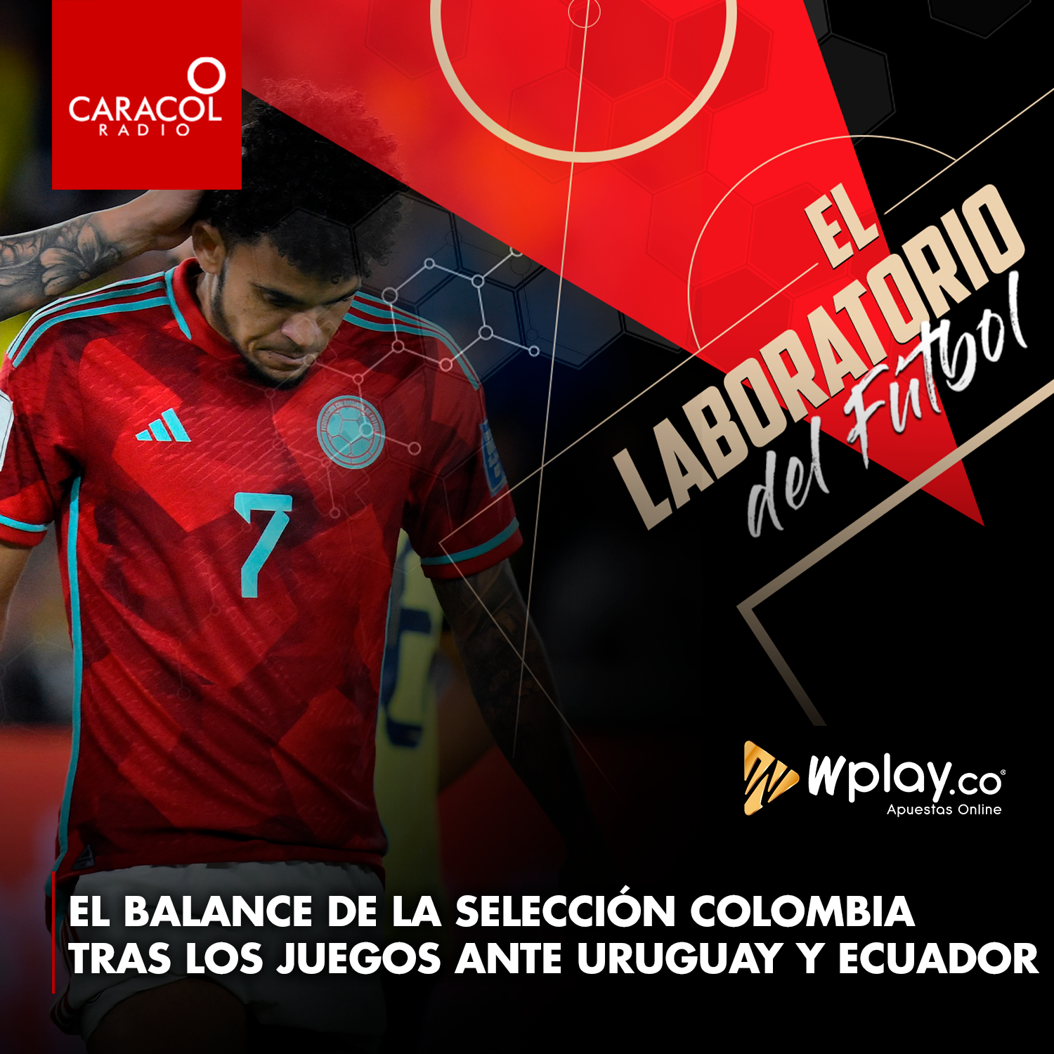 Imagen de El balance de la Selección Colombia tras los juegos ante Uruguay y Ecuador