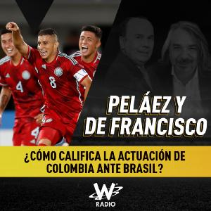 Imagen de ¿Cómo califica la actuación de Colombia ante Brasil?