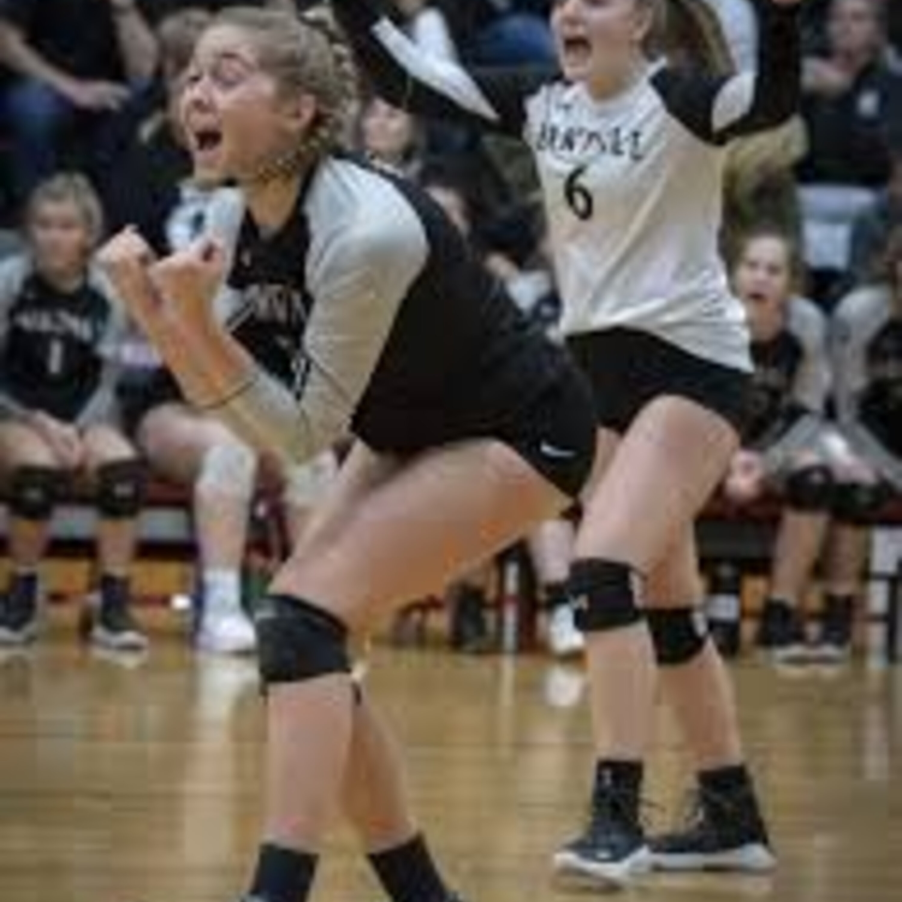 Frederick County Sports Weekend 11/24