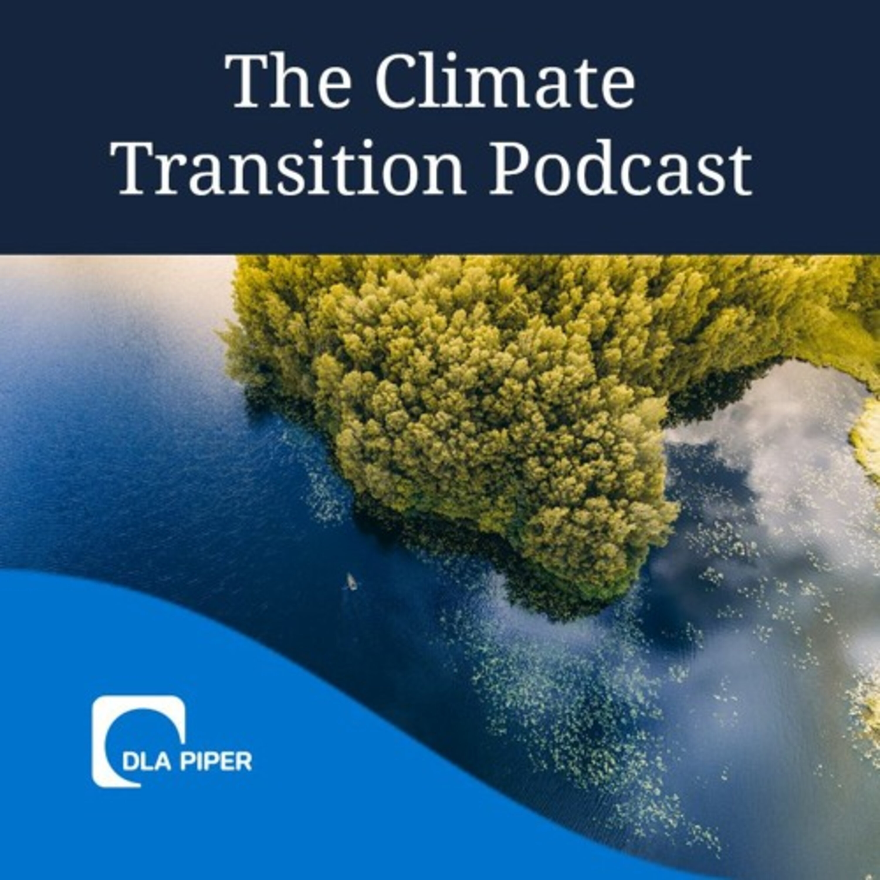 COP29 and Carbon Markets