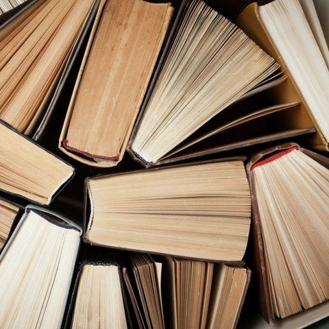 Curso de Terminologia no Instituto Int. da Língua Portuguesa