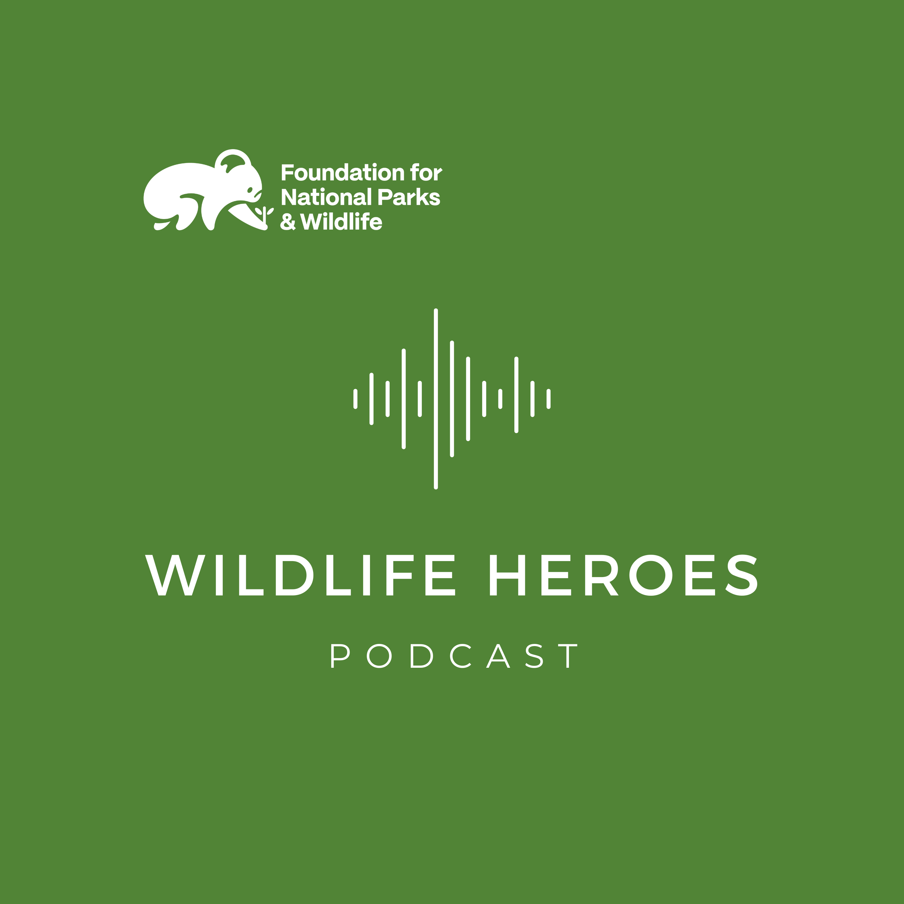 S2E5 One Animal at a Time: Vets - the unsung wildlife heroes