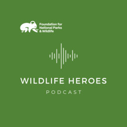 S2E1 One Animal at a Time: Animal Analysis -  exploring how wildlife rehabilitation volunteers contribute to conservation