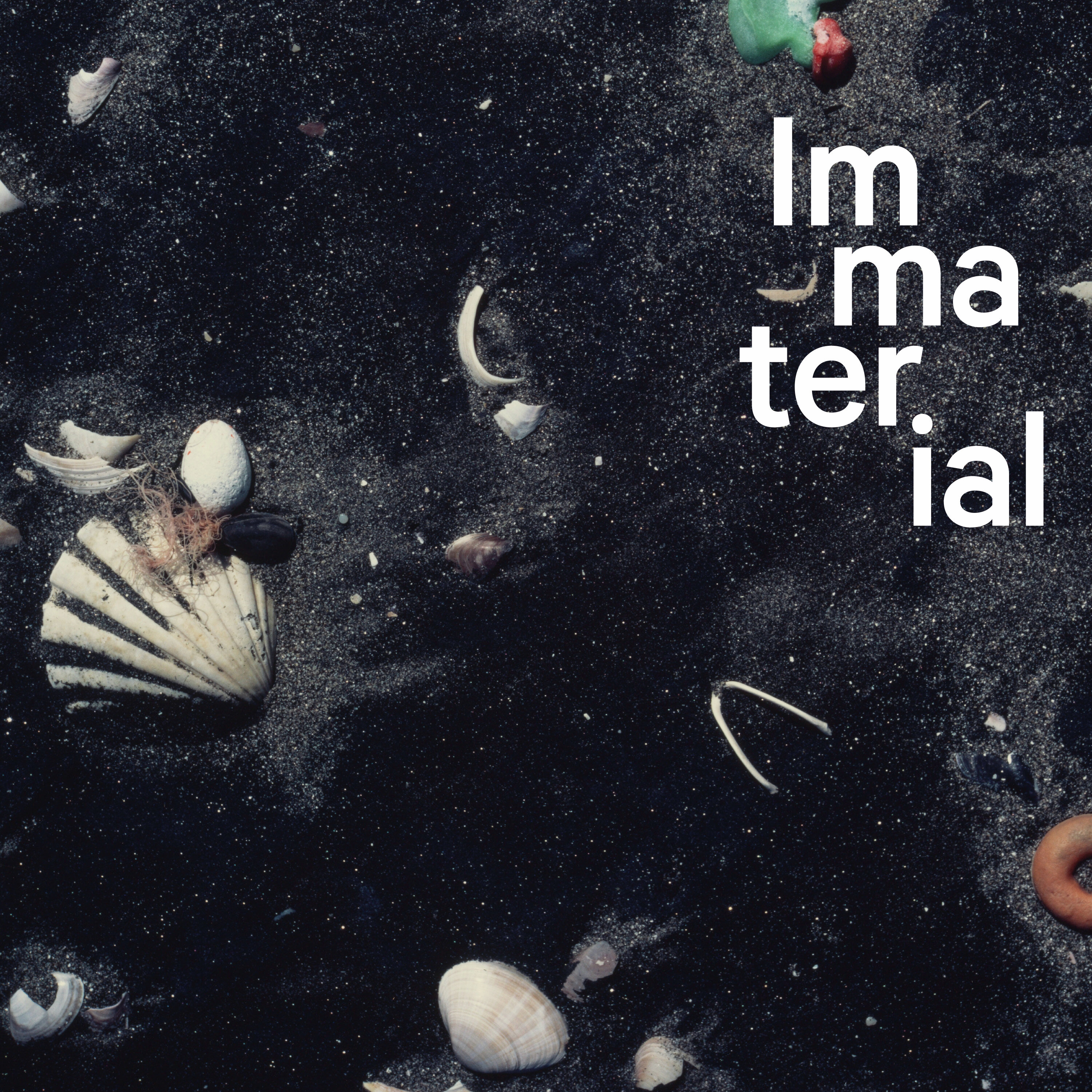 Trash: The Archaeology of Rubbish