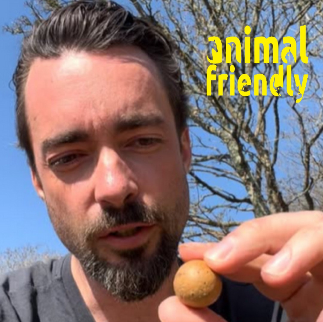 29. The Wild Nature of Ireland