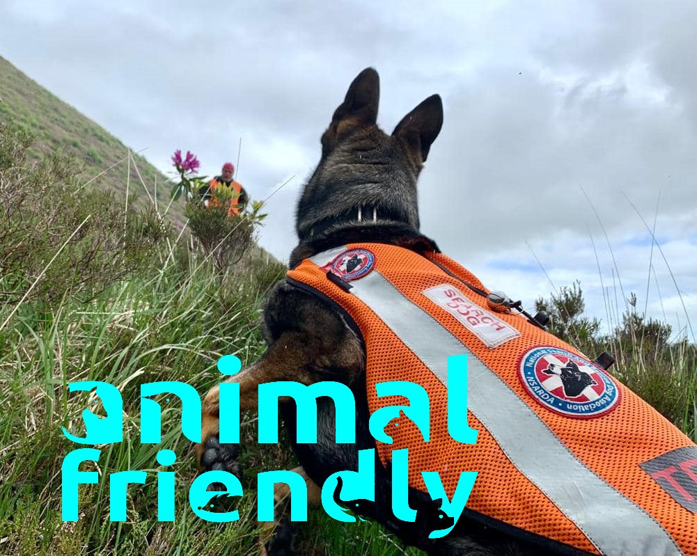 1. How to be a Dogsbody