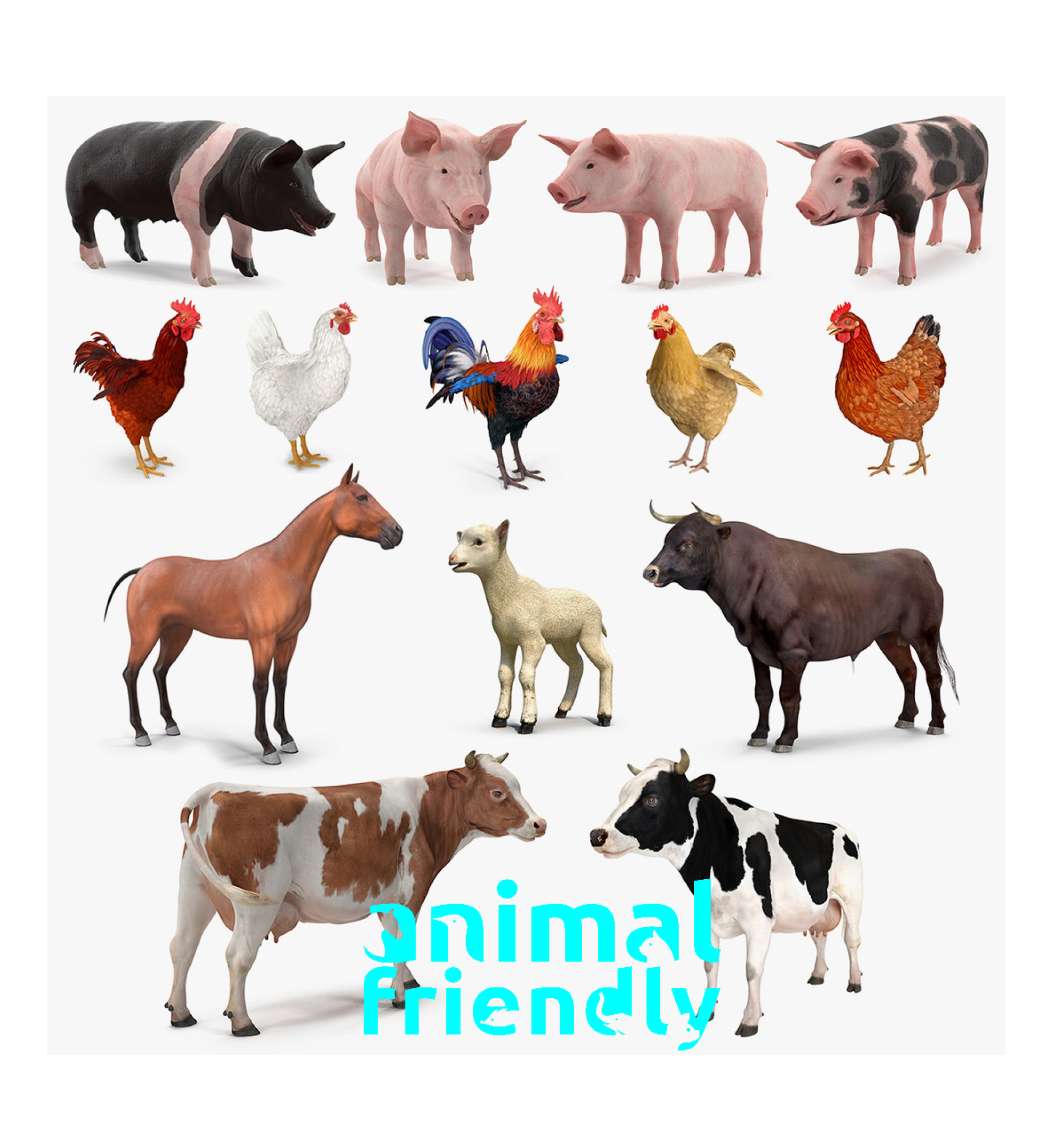 3. Ethical Farming in Ireland?