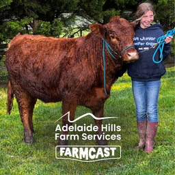 Adelaide Hills Farmcast: August Edition