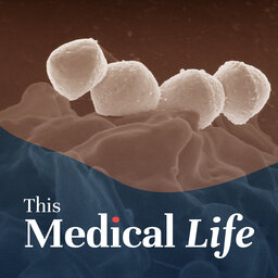 Episode 22: Group A Streptococcus / Streptococcus Pyogenes | A Classical Killer